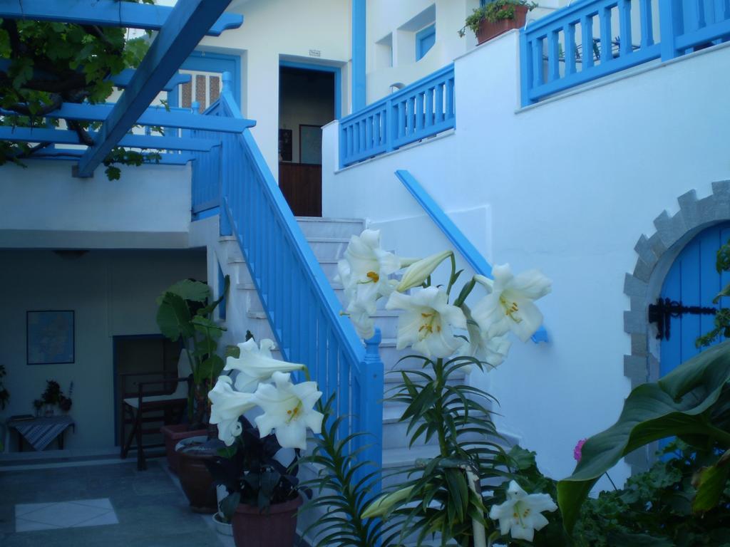 Hotel Anixis Naxos City Zewnętrze zdjęcie