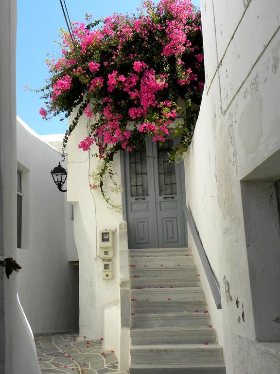 Hotel Anixis Naxos City Zewnętrze zdjęcie
